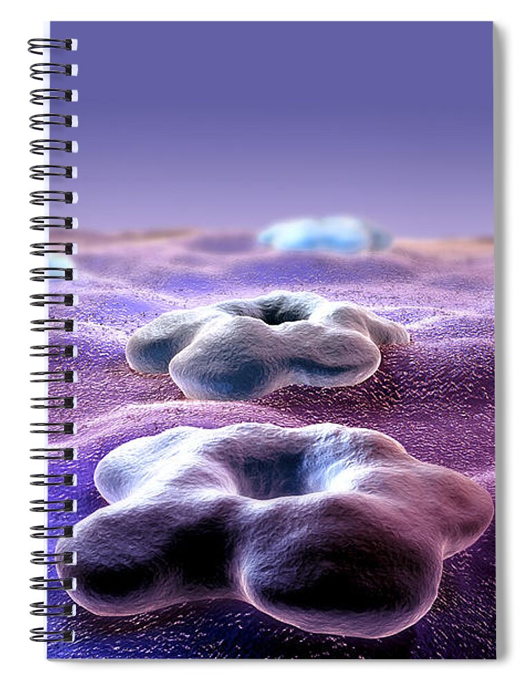 Human Spiral Notebook featuring the photograph Cell Receptors by Science Picture Co