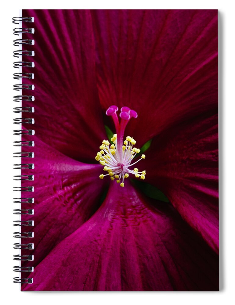 Botanical Spiral Notebook featuring the photograph Center Folds by Christi Kraft