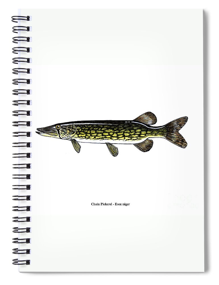 Fish Spiral Notebook featuring the mixed media Chain Pickerel by Art MacKay