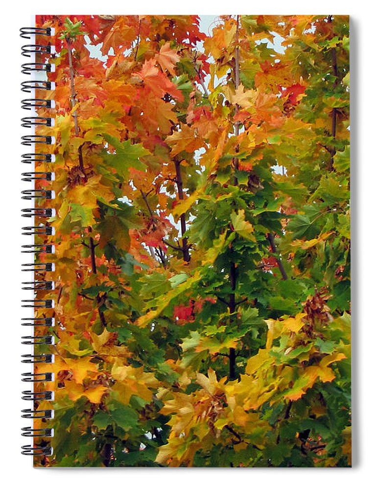 Nature Spiral Notebook featuring the photograph Changing Times by Tikvah's Hope