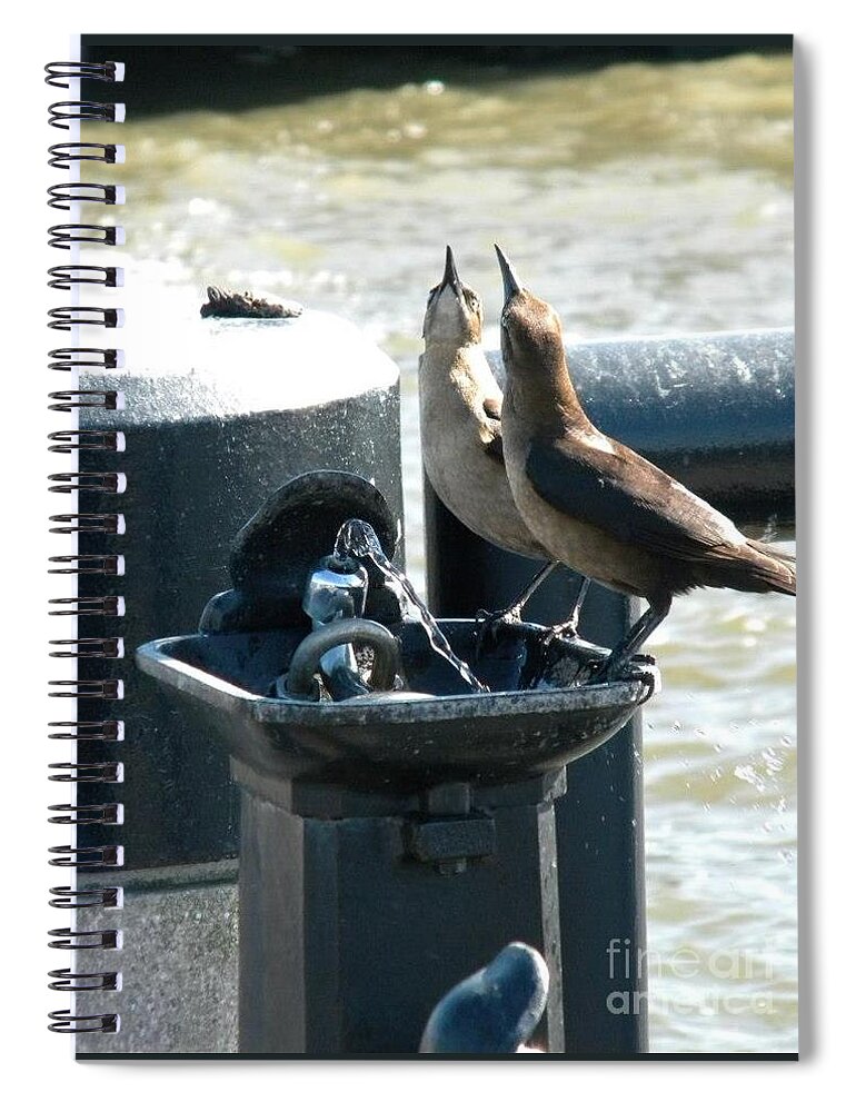 Birds Spiral Notebook featuring the digital art Charleston Twins by Matthew Seufer