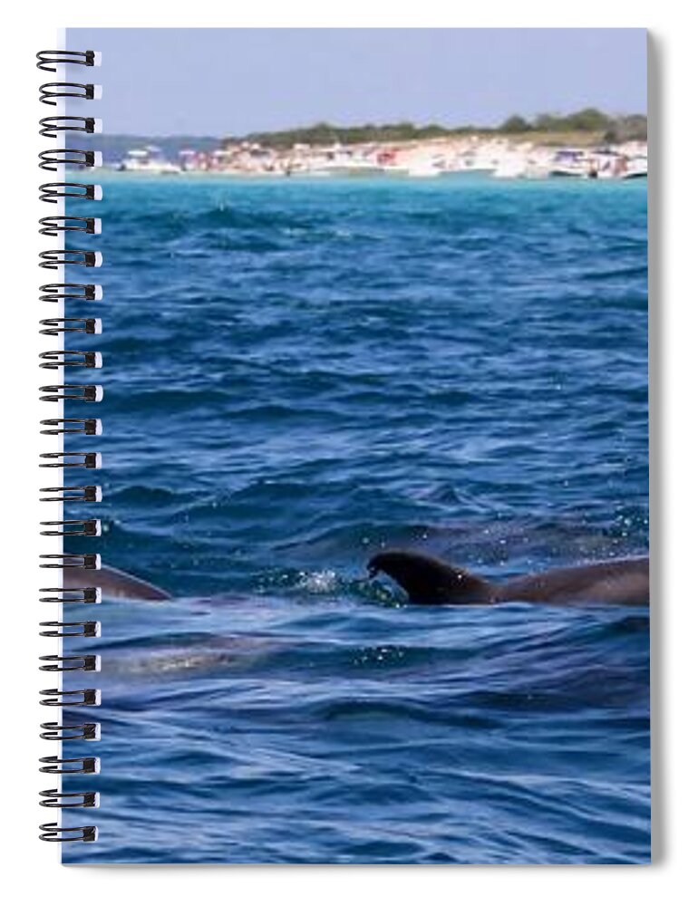 Jetty Spiral Notebook featuring the photograph Chasing Dolphins by Debra Forand