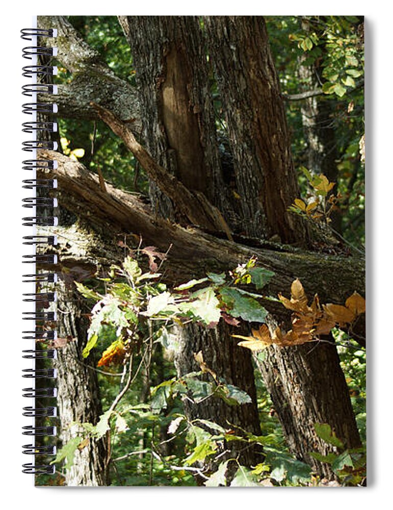 Autumn Leaves Spiral Notebook featuring the photograph Chattahoochee River Trails by Rafael Salazar