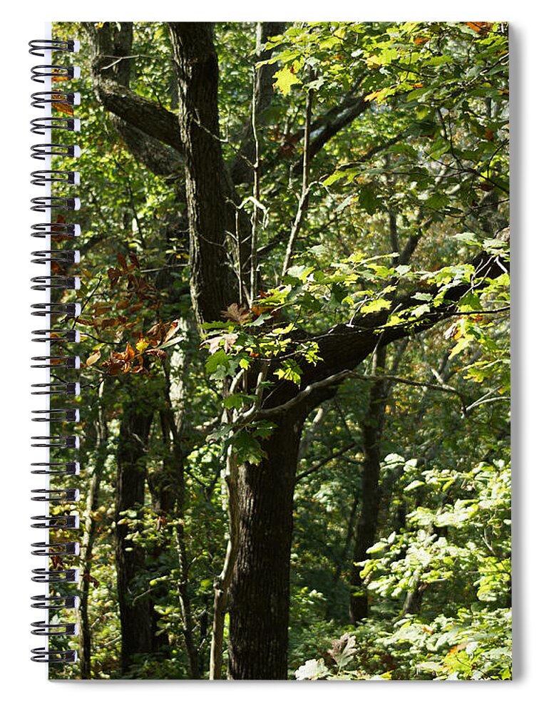 Autumn Leaves Spiral Notebook featuring the photograph Chattahoochee Riverwalk by Rafael Salazar