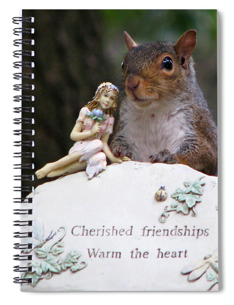 Squirrel Spiral Notebook featuring the photograph Cherished Friendships by John Haldane