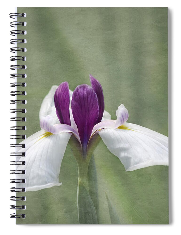 White Flower Spiral Notebook featuring the photograph Cherished by Kim Hojnacki
