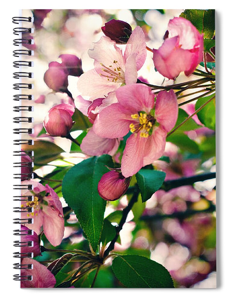 Cherry Blossom Spiral Notebook featuring the photograph Cherry Blossom by Gwen Gibson