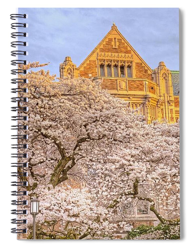 Cherry Blossoms Spiral Notebook featuring the photograph Cherry Blossoms by Jeff Cook