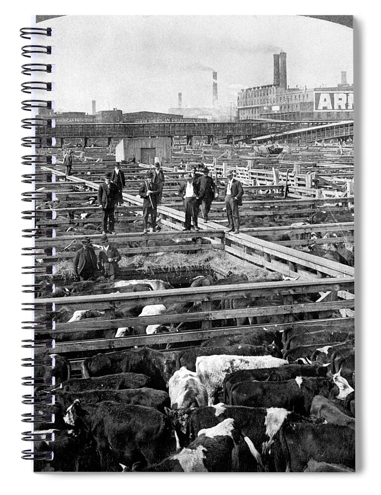 Meat Packing Industry Spiral Notebook featuring the photograph Chicago, Union Stock Yard, 1909 by Science Source