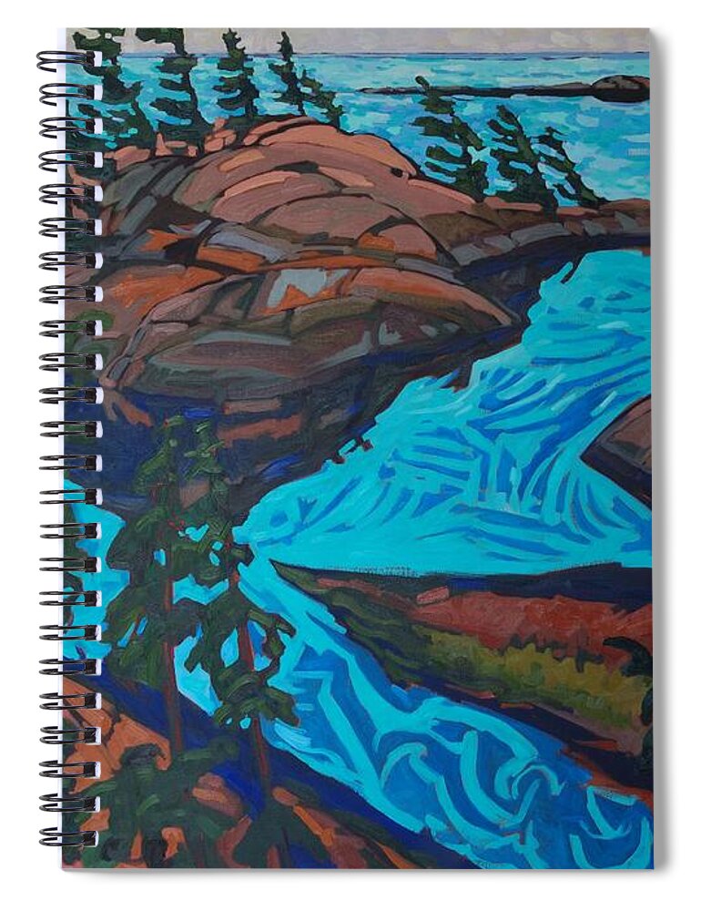 Chadwick Spiral Notebook featuring the painting Chickanishing Creek by Phil Chadwick