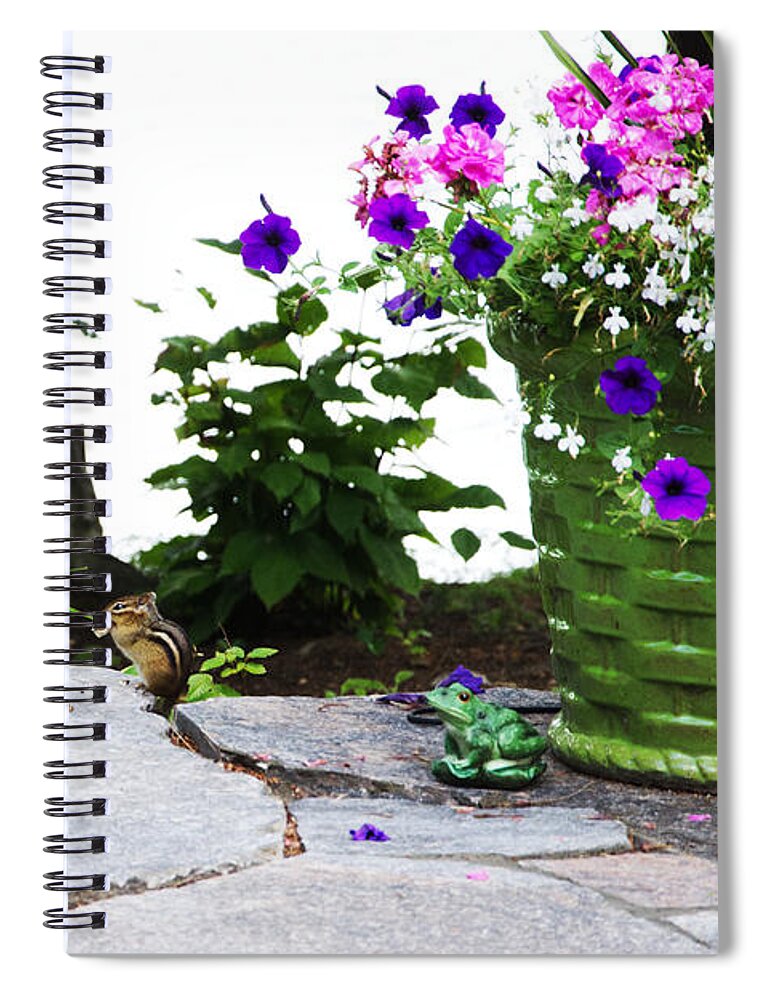 Chipmunk Spiral Notebook featuring the photograph Chipmunk and Flowers by Laurel Best