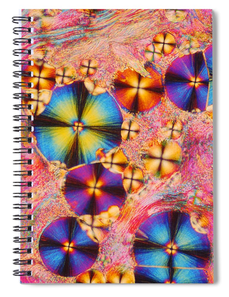 Polarized Light Micrograph Spiral Notebook featuring the photograph Cholesteryl Propionate by James M. Bell