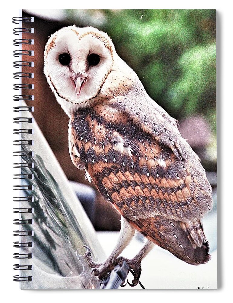 Africa Spiral Notebook featuring the photograph Chouette by HELGE Art Gallery