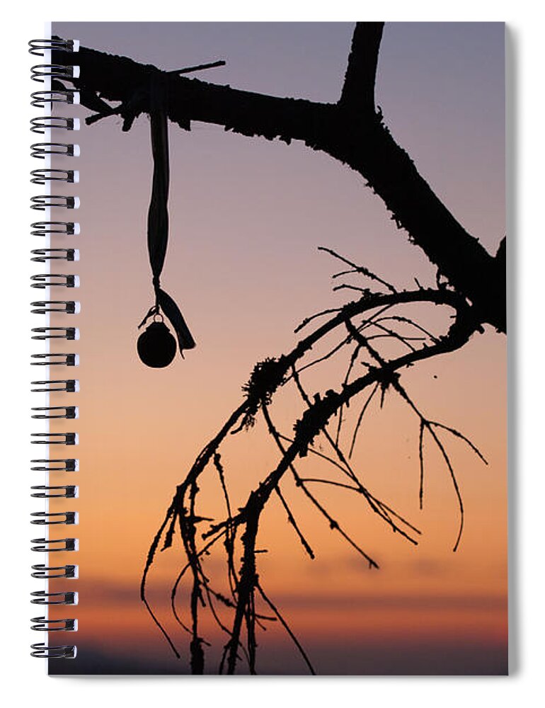 Christmas Spiral Notebook featuring the photograph Christmas Branch by Kathy Paynter