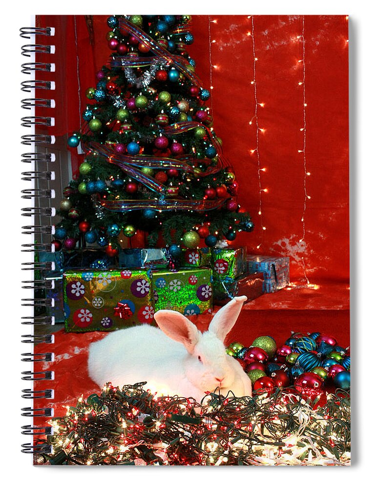 Bunny Spiral Notebook featuring the photograph Christmas Bunny by Amanda Stadther