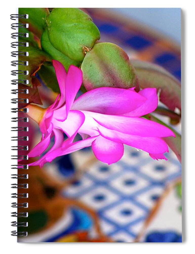 Plants Spiral Notebook featuring the photograph Christmas Cactus by Lehua Pekelo-Stearns