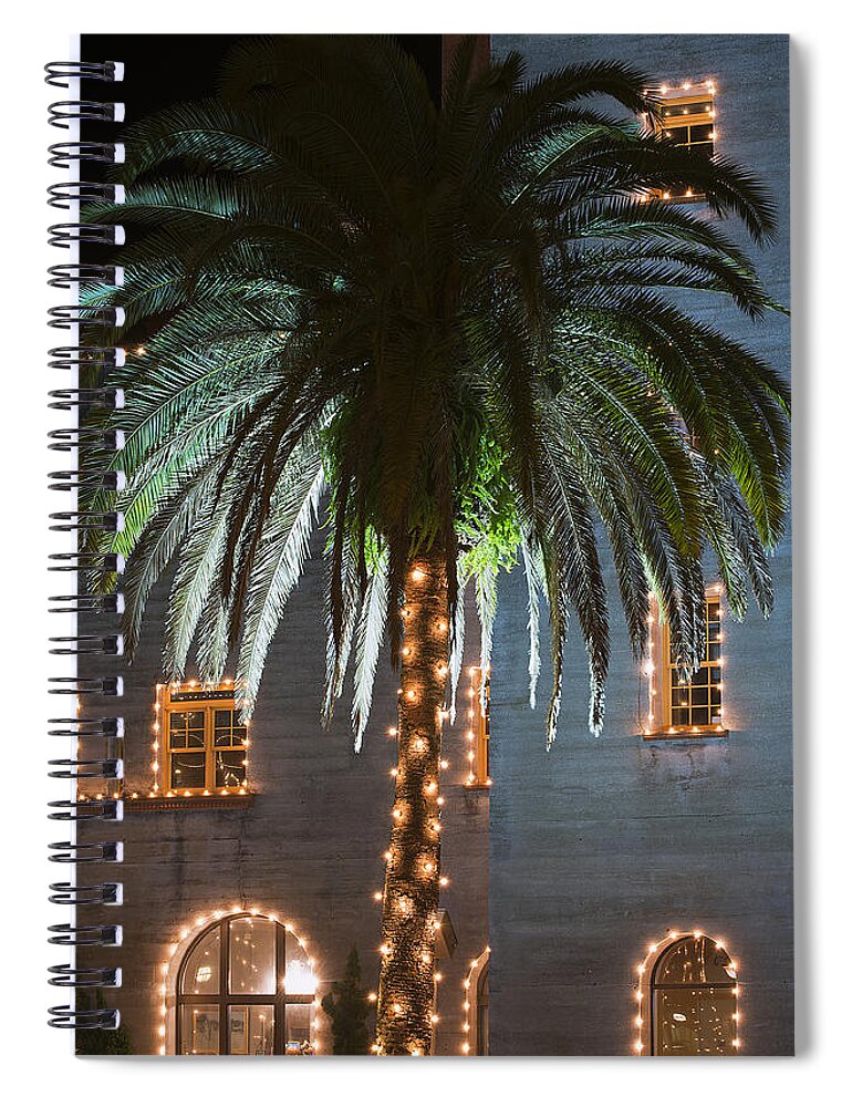 Scenery Spiral Notebook featuring the photograph Christmas Palm by Kenneth Albin