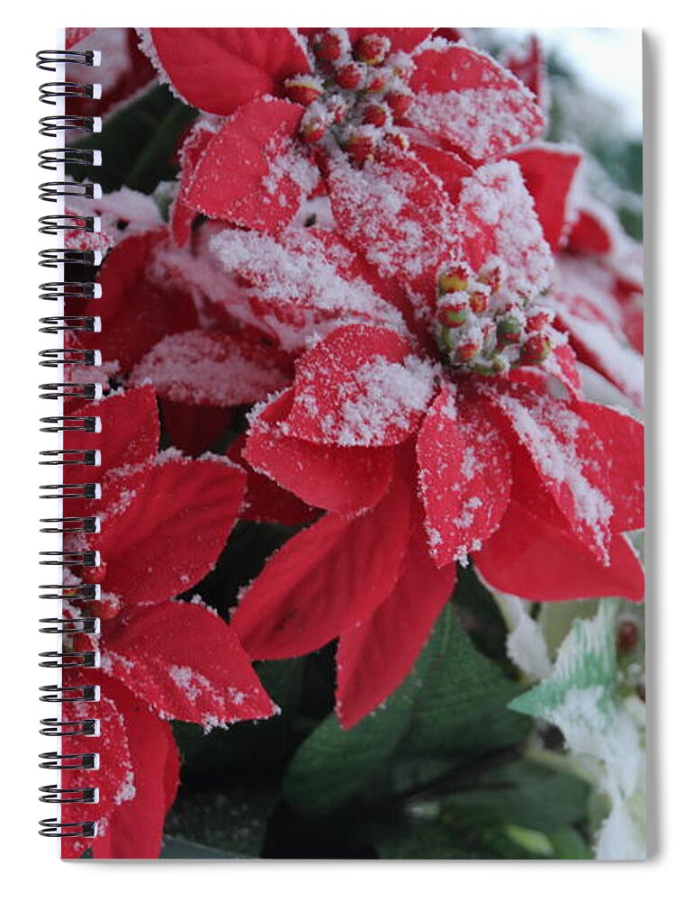 Poinsettia Spiral Notebook featuring the photograph Christmas Poinsettia Flowers by Valerie Collins