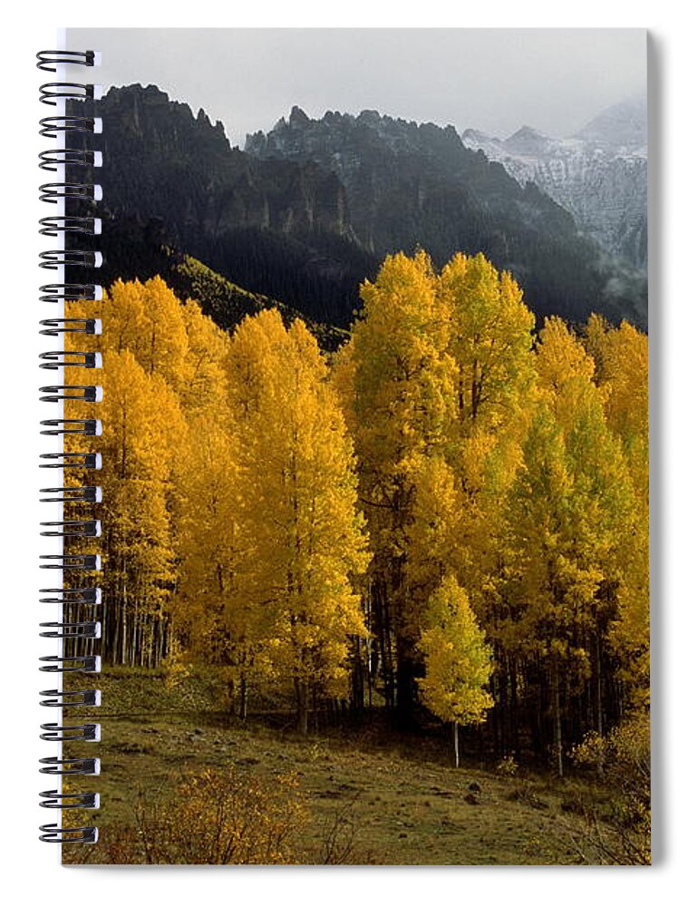 Colorado Spiral Notebook featuring the photograph Cimarron Forks by Eric Glaser