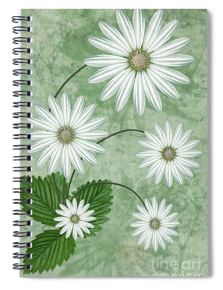 Abstract Flowers Spiral Notebook featuring the digital art Cinco by John Edwards