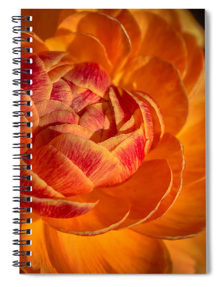 Flower Spiral Notebook featuring the photograph Citrus Beauty by Ana V Ramirez