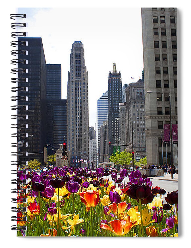 City Spiral Notebook featuring the photograph City in Color by Milena Ilieva