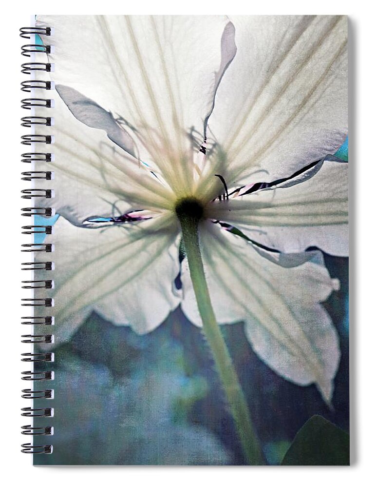 Single Spiral Notebook featuring the photograph Clematis in Morning Sun by Michelle Calkins