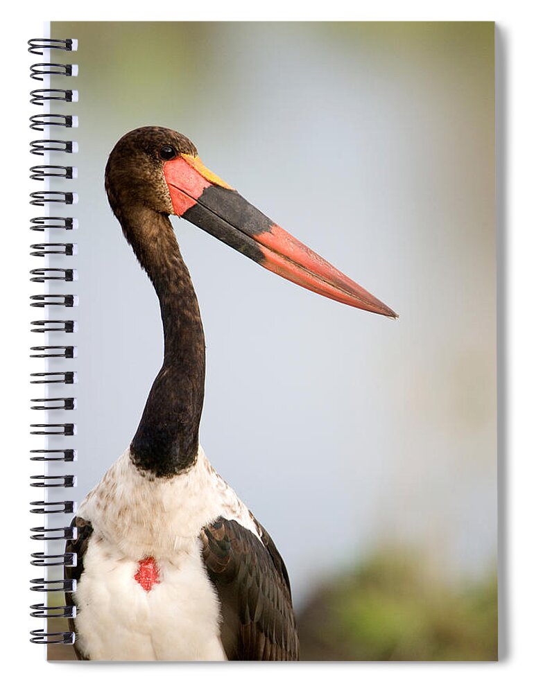 Photography Spiral Notebook featuring the photograph Close-up Of A Saddle Billed Stork by Panoramic Images