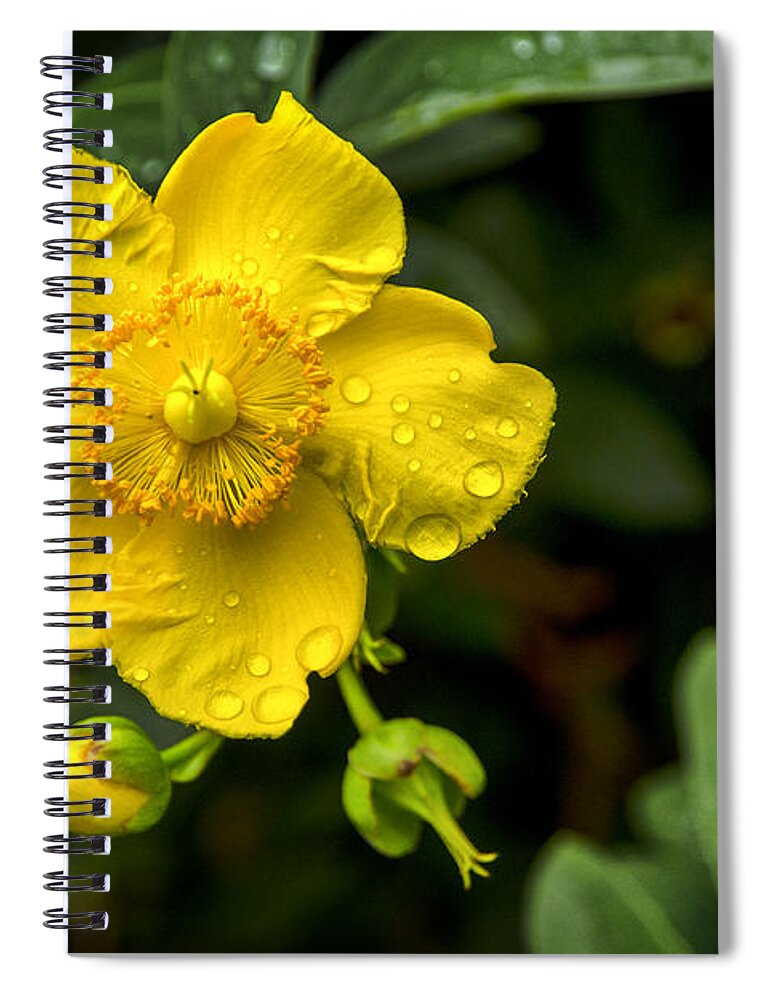 Close Spiral Notebook featuring the photograph Close Up by Pablo Lopez