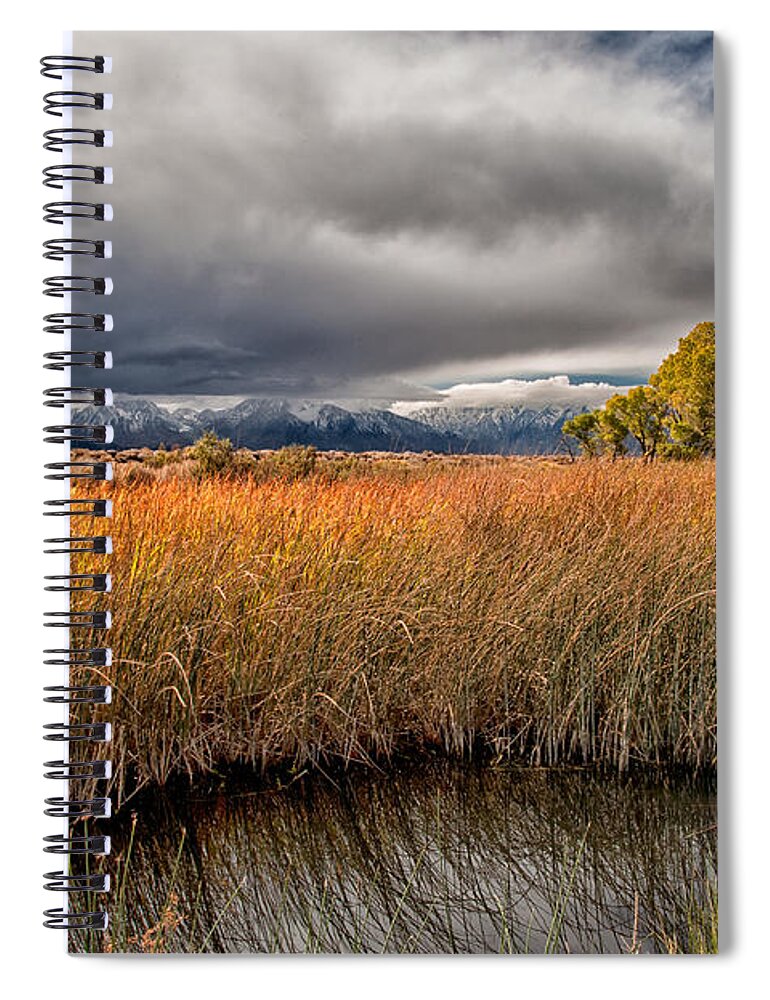 Water Spiral Notebook featuring the photograph Clouds and Reeds by Cat Connor