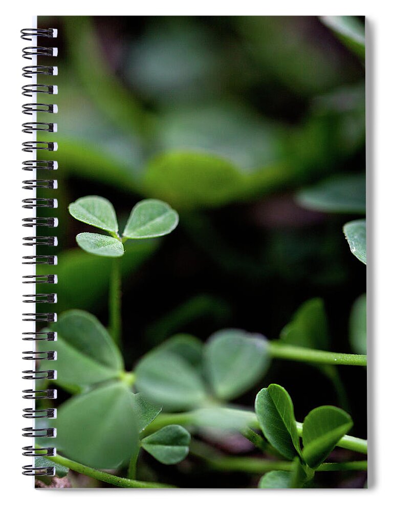 Tranquility Spiral Notebook featuring the photograph Clovers In An Italian Lawn In Spring by Les Hirondelles Photography