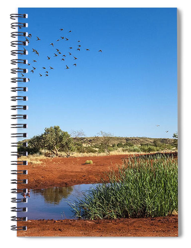 D. Parer E. Parer-cook Spiral Notebook featuring the photograph Cockatiels Flying To Desert Waterhole by D. Parer & E. Parer-Cook