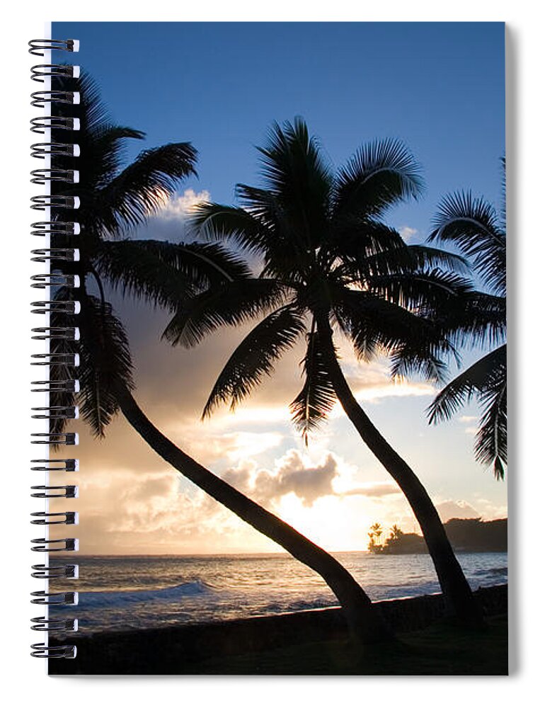 Landscape Spiral Notebook featuring the photograph Coconut Trees At Sunrise, Oahu, Hawaii by Craig K. Lorenz