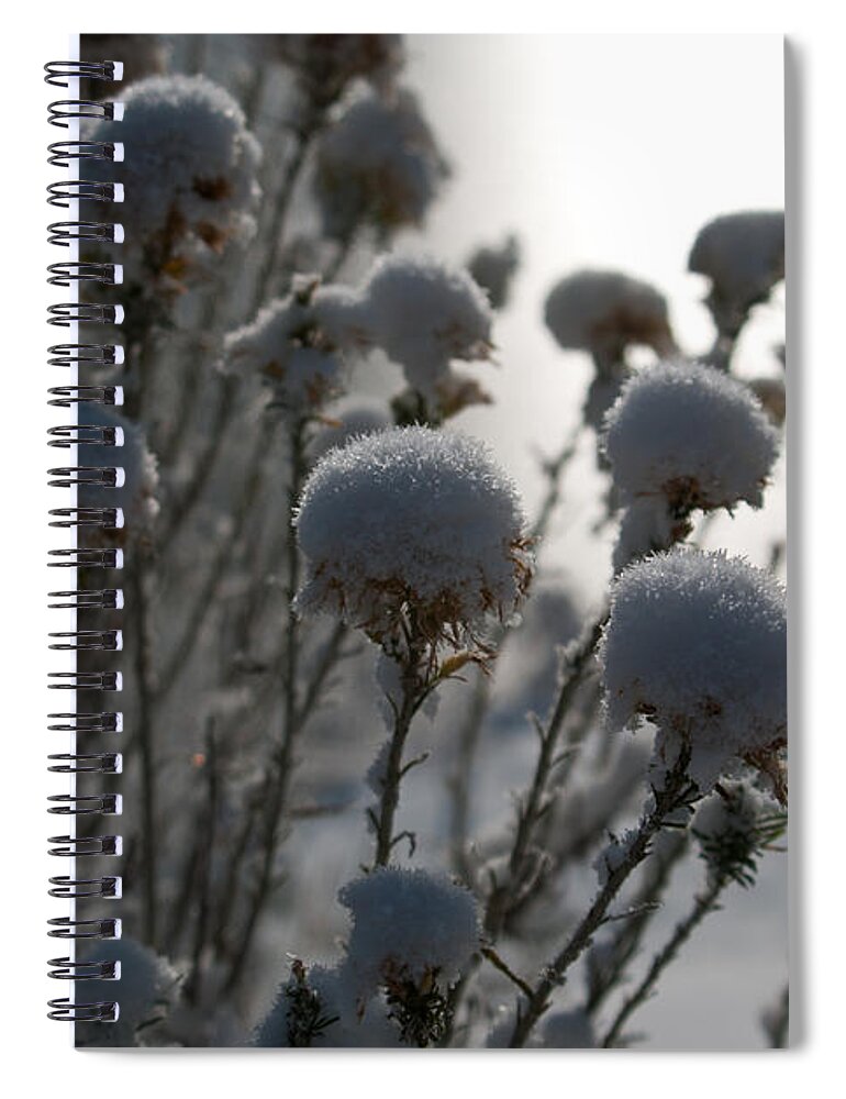 Winter Spiral Notebook featuring the photograph Cold Winter Light by Cascade Colors