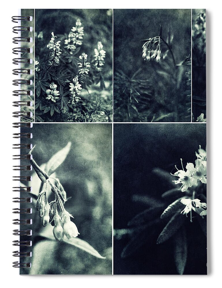 Blue Spiral Notebook featuring the photograph Yukon Wild flower Collage by Priska Wettstein