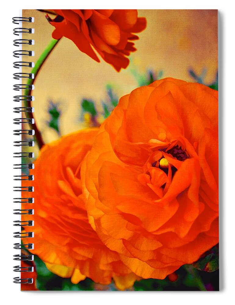 Floral Spiral Notebook featuring the photograph Color 149 by Pamela Cooper