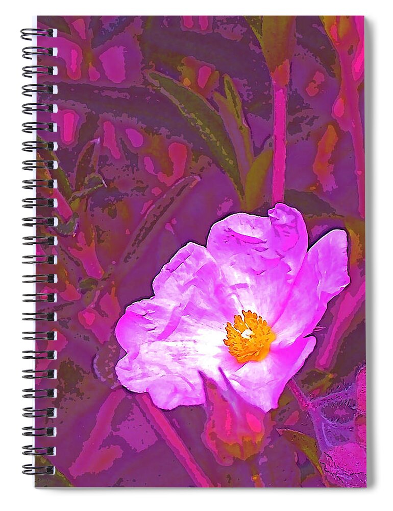 Rock Rose Spiral Notebook featuring the photograph Color 2 by Pamela Cooper