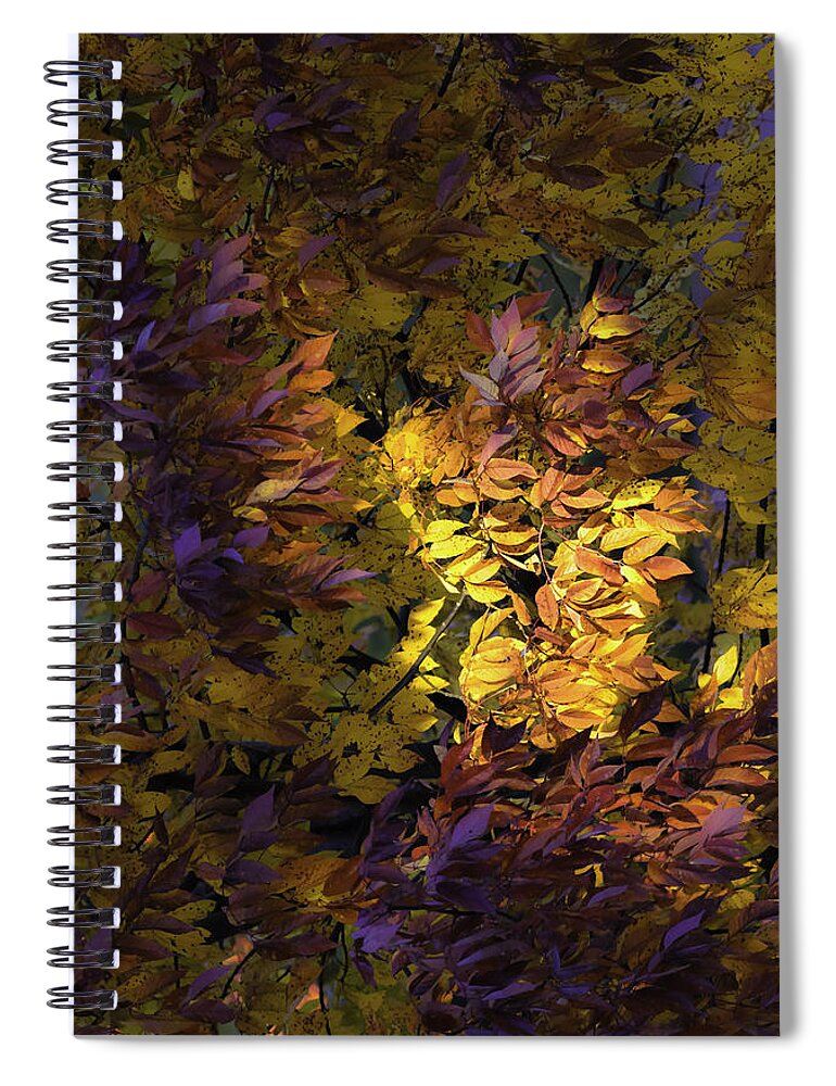 Abstract Spiral Notebook featuring the photograph Color Calls by Wild Fotos