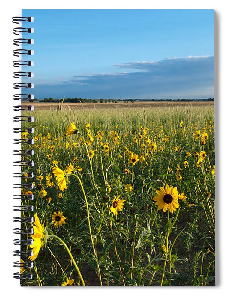 Landscape Photograph Spiral Notebook featuring the photograph Colorado Evening Meadow Landscape by Cascade Colors