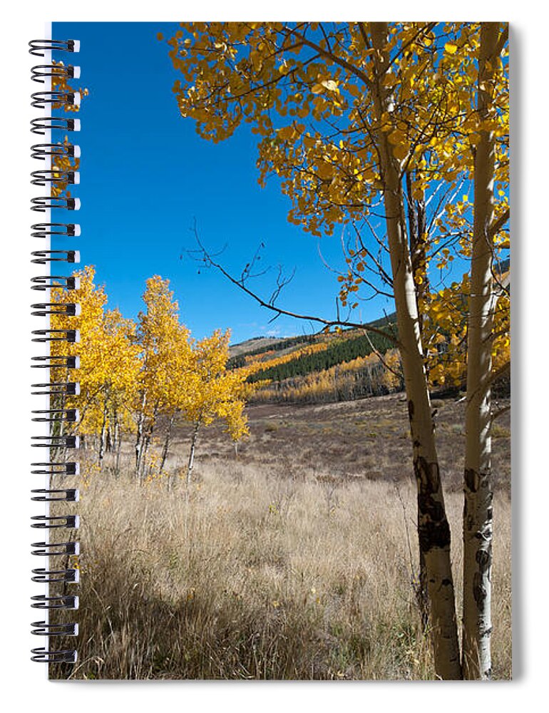 Aspen Spiral Notebook featuring the photograph Colorado Golden Aspen and Mountain Landscape by Cascade Colors