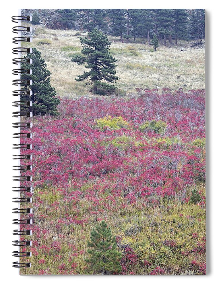 Red Spiral Notebook featuring the photograph Colorado Red by James BO Insogna