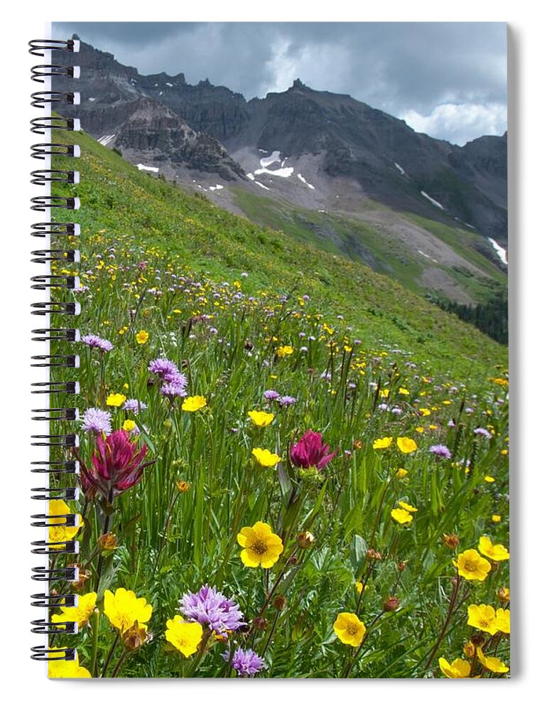 Colorado Spiral Notebook featuring the photograph Colorado Wildflowers and Mountains by Cascade Colors