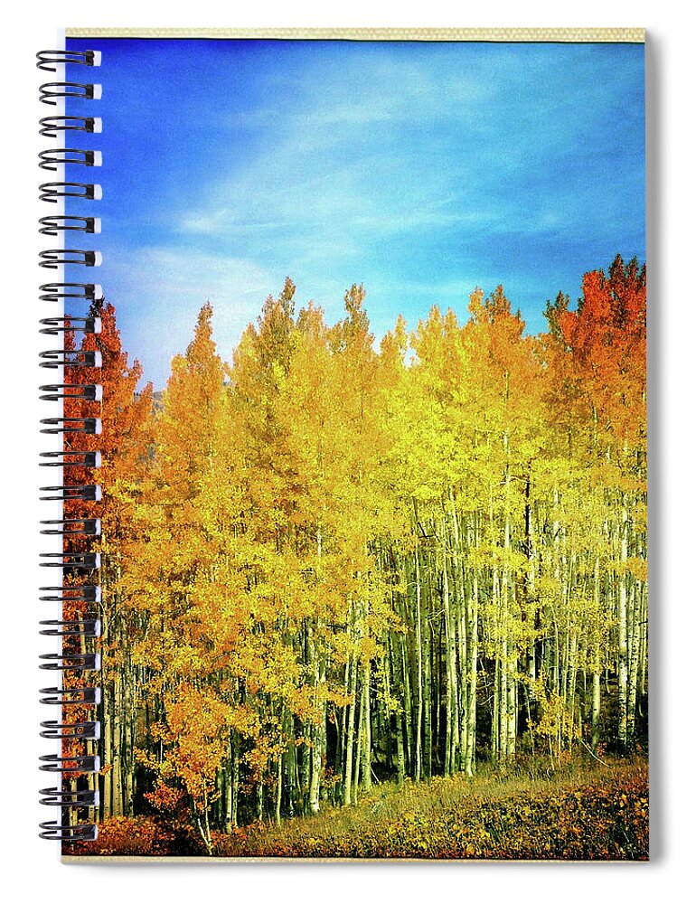 Scenics Spiral Notebook featuring the photograph Colorful Aspen Trees by Karen Desjardin