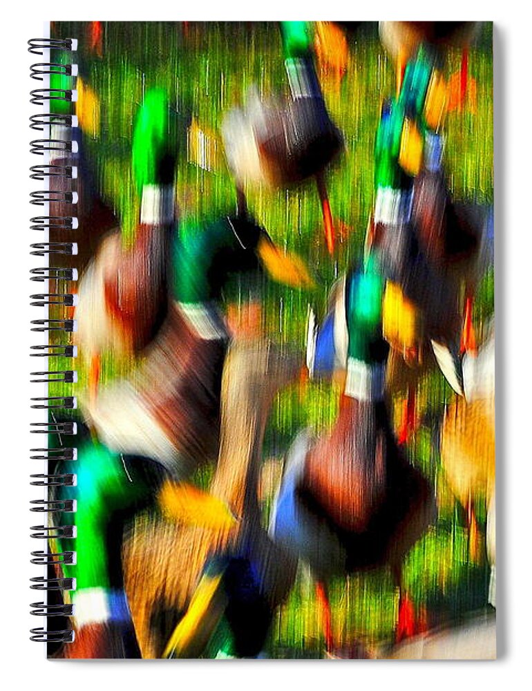 Duck Spiral Notebook featuring the photograph Colorful Confusion by Frozen in Time Fine Art Photography