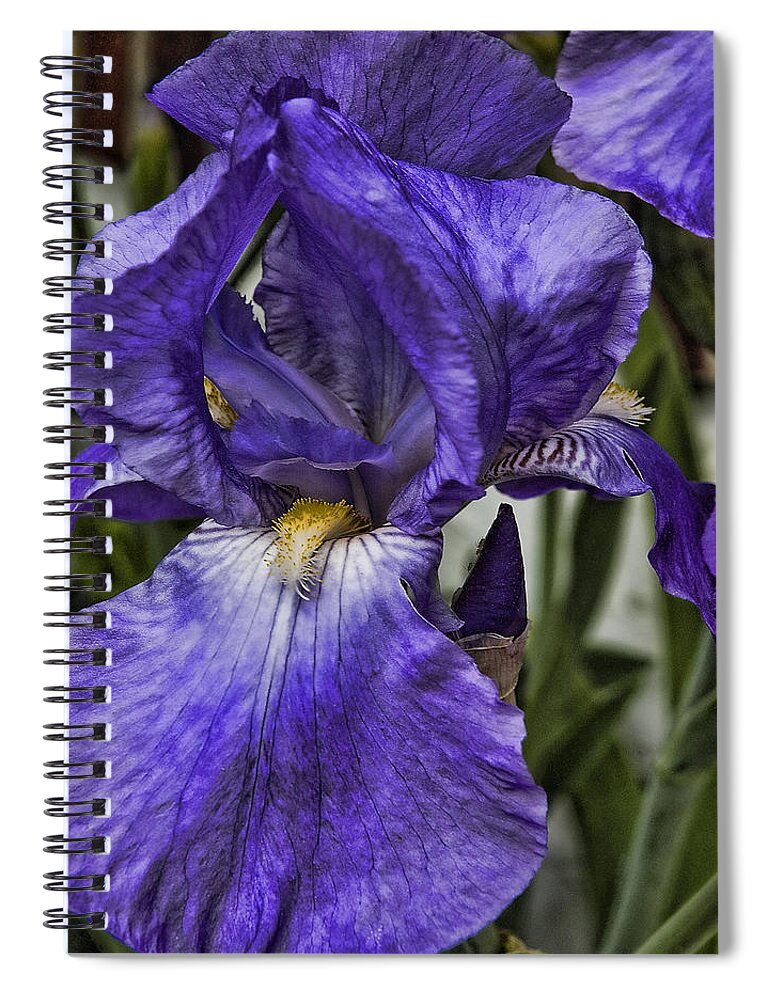 Culver Garden Spiral Notebook featuring the photograph Colorful flag by Robert Culver