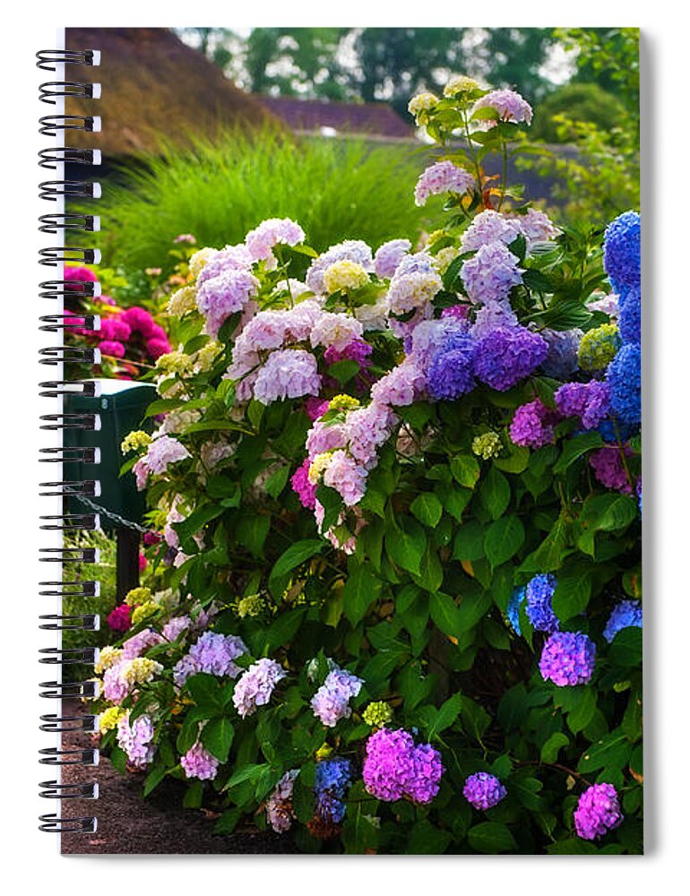 Netherlands Spiral Notebook featuring the photograph Colorful Hydrangea at the Gate. Giethoorn. Netherlands by Jenny Rainbow