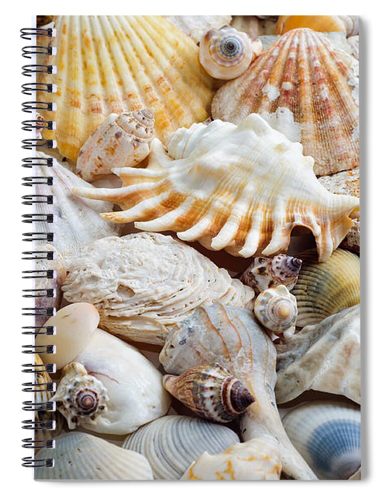Seashell Spiral Notebook featuring the photograph Colorful Ocean Seashells 1 by Andee Design