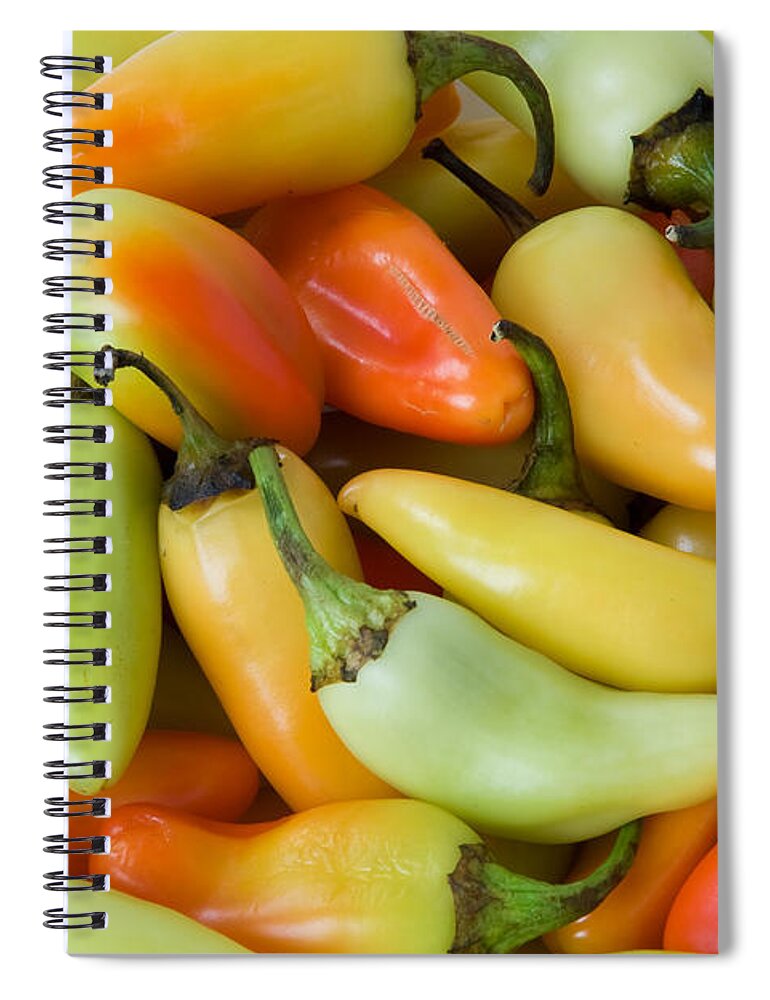 Peppers Spiral Notebook featuring the photograph Colorful Peppers by James BO Insogna