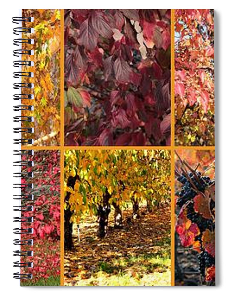 Colors Of Autumn Collage Spiral Notebook featuring the photograph Colors of Autumn Collage by Carol Groenen