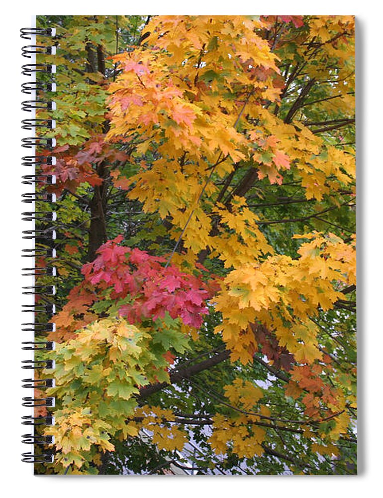  Spiral Notebook featuring the photograph Colors of Autumn by Jeremy McKay